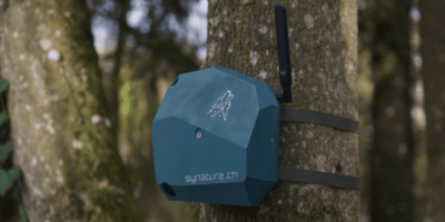 Track wild animals with smart microphones