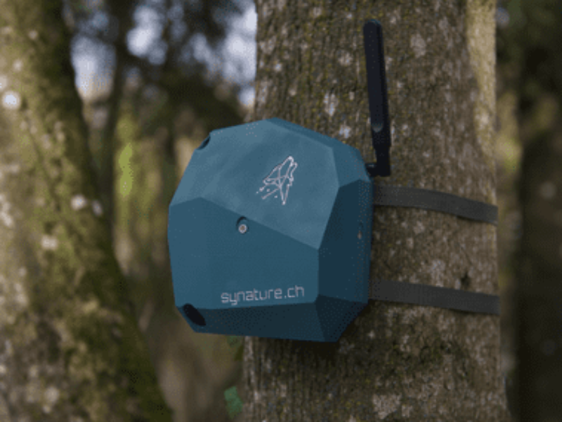 Track wild animals with smart microphones