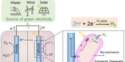 ‘Hydrogen nanoreactors’ can create breakthrough in green hydrogen