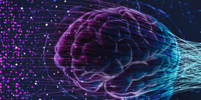 What is inside the Big Black LLM box?