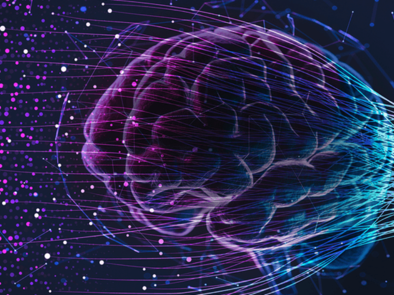 What is inside the Big Black LLM box?