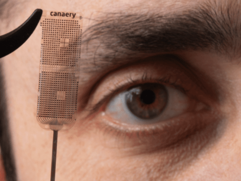 Nose-Computer Interface (NCI) for scent-detection animals