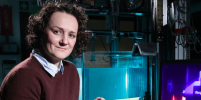 Drones and energy harvesting can learn from bat wings