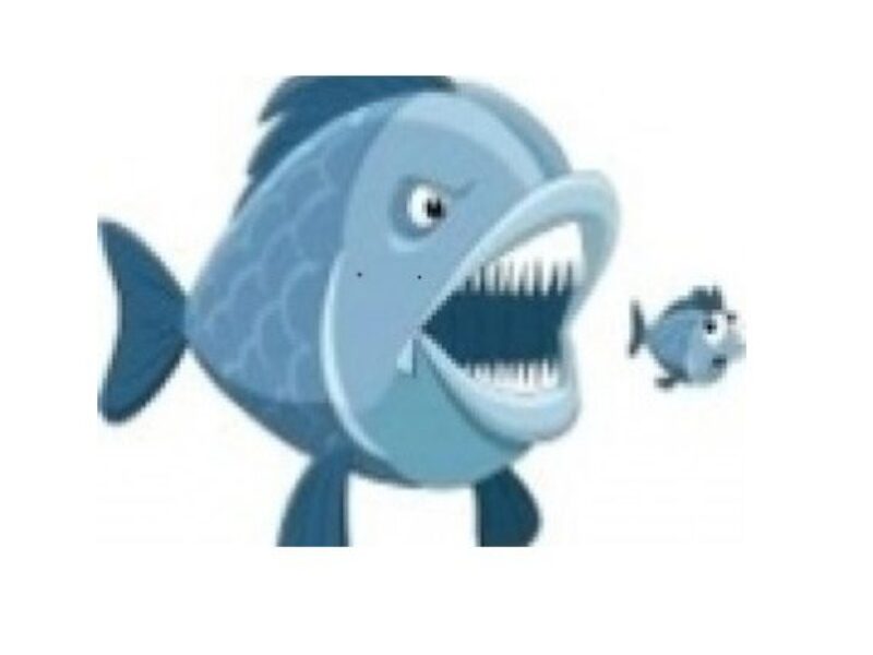 Le suédois Micronic fait l&rsquo;acquisition du grenoblois Hprobe