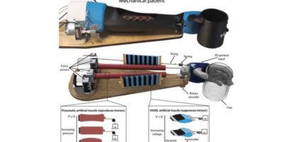 Biorobotic arm helps tremor supression