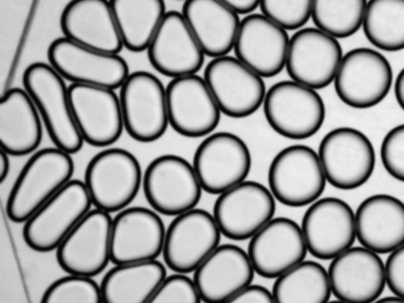 Nano diamond dust in droplets makes a precise detection tool