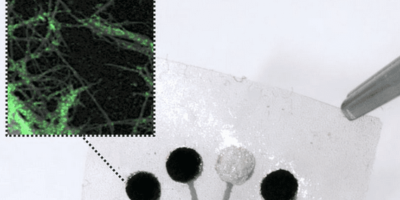 TMR sensor enables real-time monitoring of a wide range of metabolites