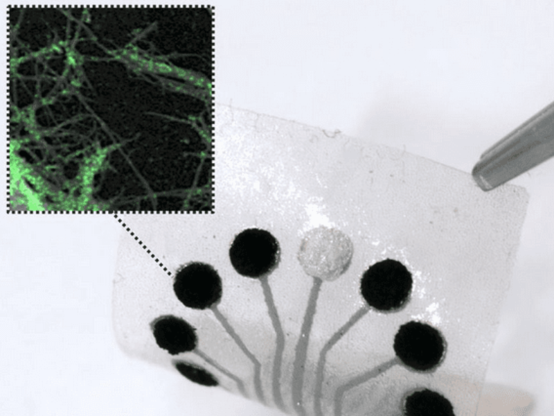 TMR sensor enables real-time monitoring of a wide range of metabolites