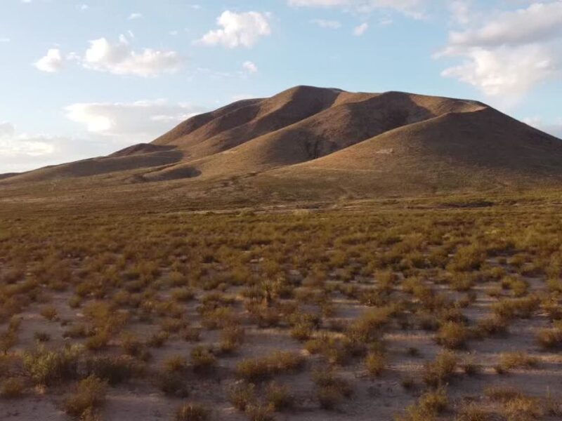 US looks to domestic rare earth startup