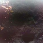 First successful commercial Moon landing paves way for 4G network