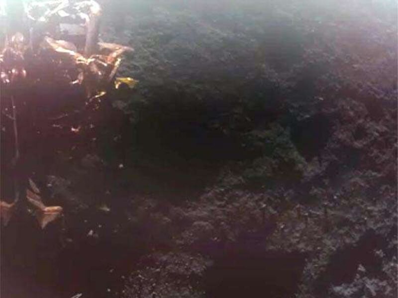 First successful commercial Moon landing paves way for 4G network