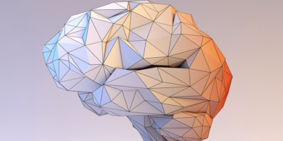 Action movies to train a digital twin of a mouse brain