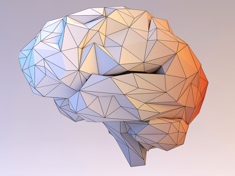 Action movies to train a digital twin of a mouse brain