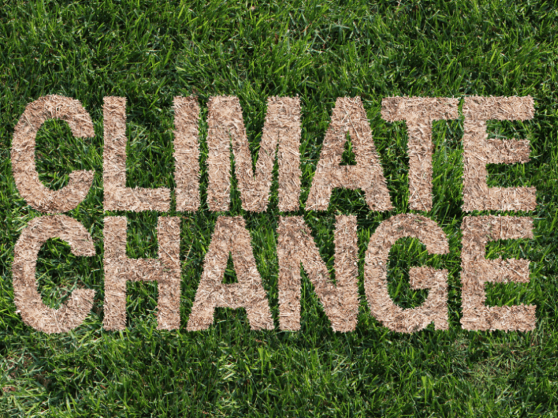 EU to advance climate ambition at COP30