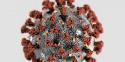 Navigating Covid-19: The New Normal