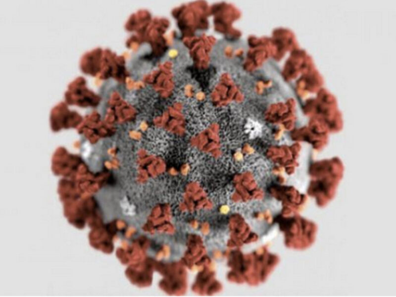 Navigating Covid-19: The New Normal