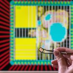 Puce de cryptage post-quantum avec chevaux de Troie matériels intégrés