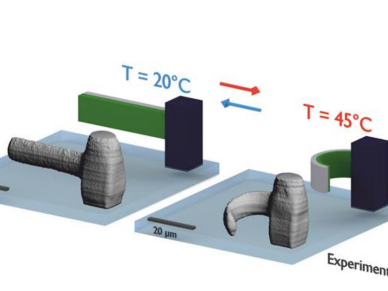 Printed microstructures move in a controlled manner