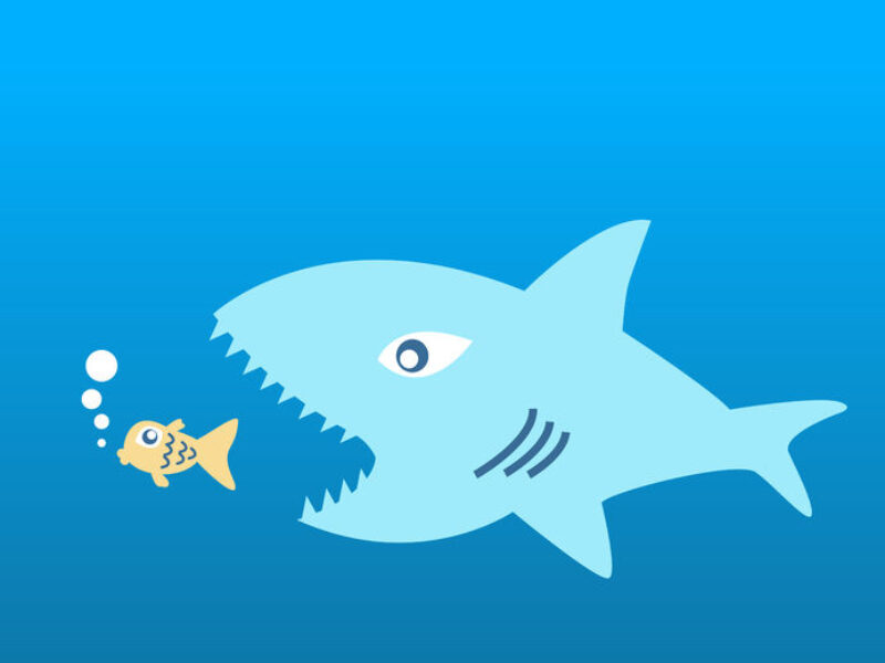 Cree rachète l&rsquo;activité RF de puissance de Infineon