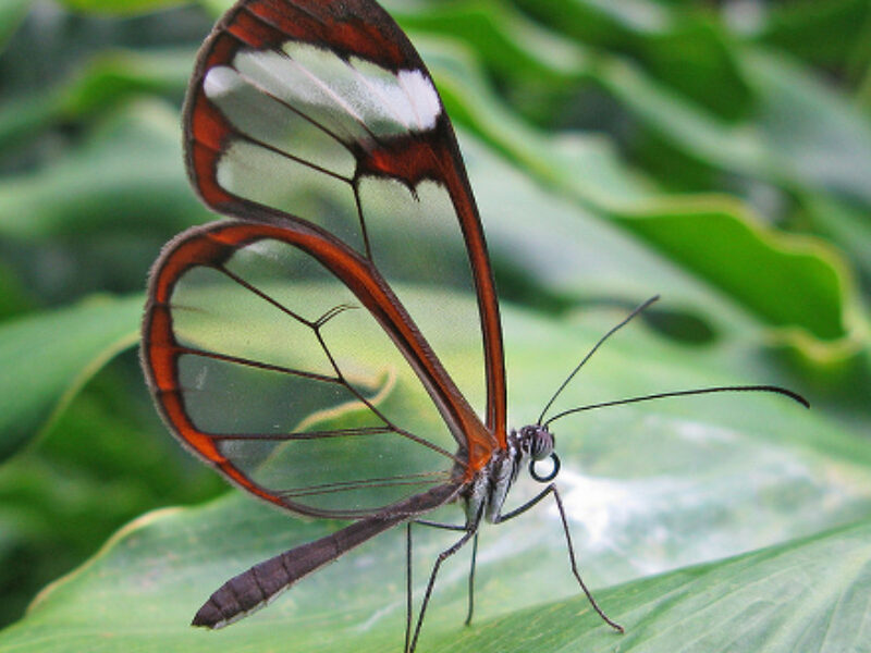 SerDes startup raises $15 million