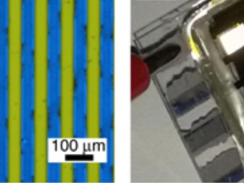 Micro-OLED strips promise tunable white