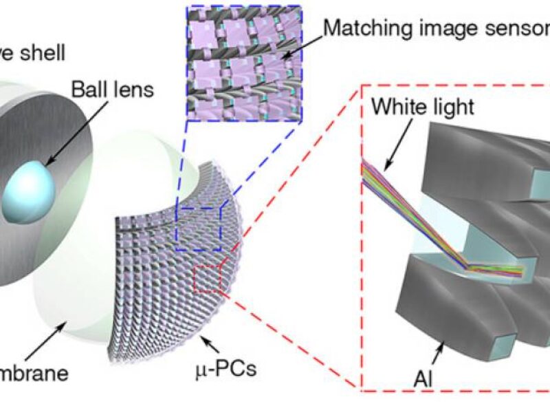 Bio-inspired lens gives image sensors night vision capability