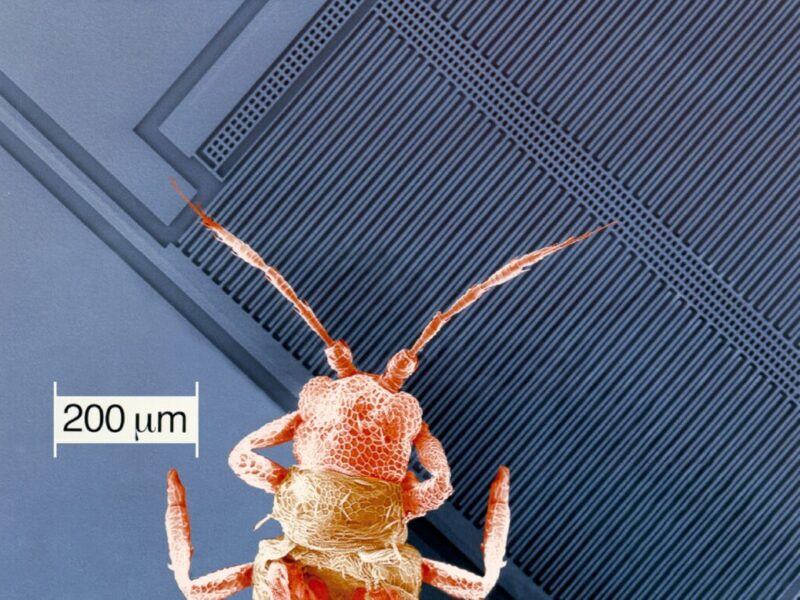 Automotive MEMS: A changing global landscape