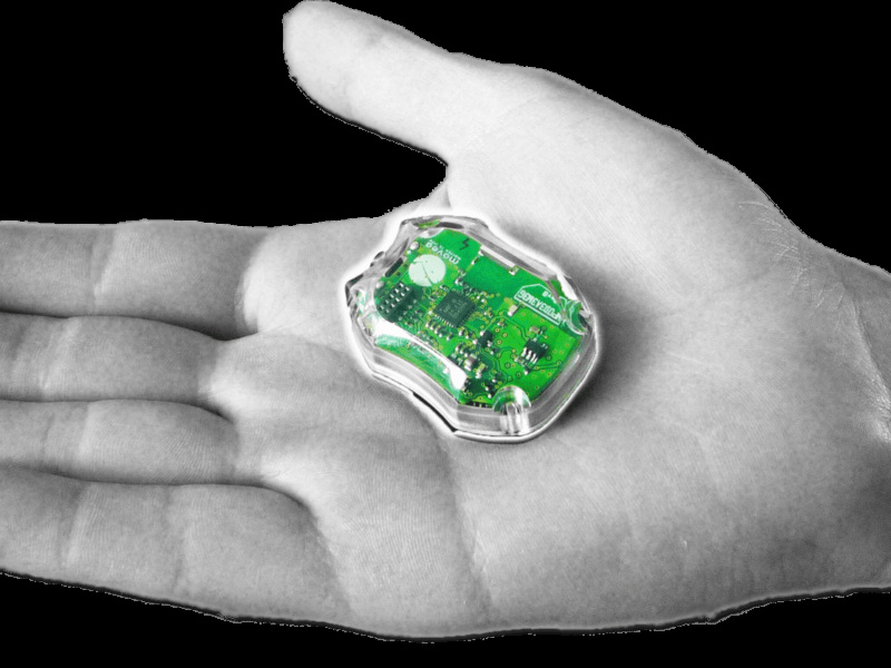 Full body motion-capture and gesture recognition system