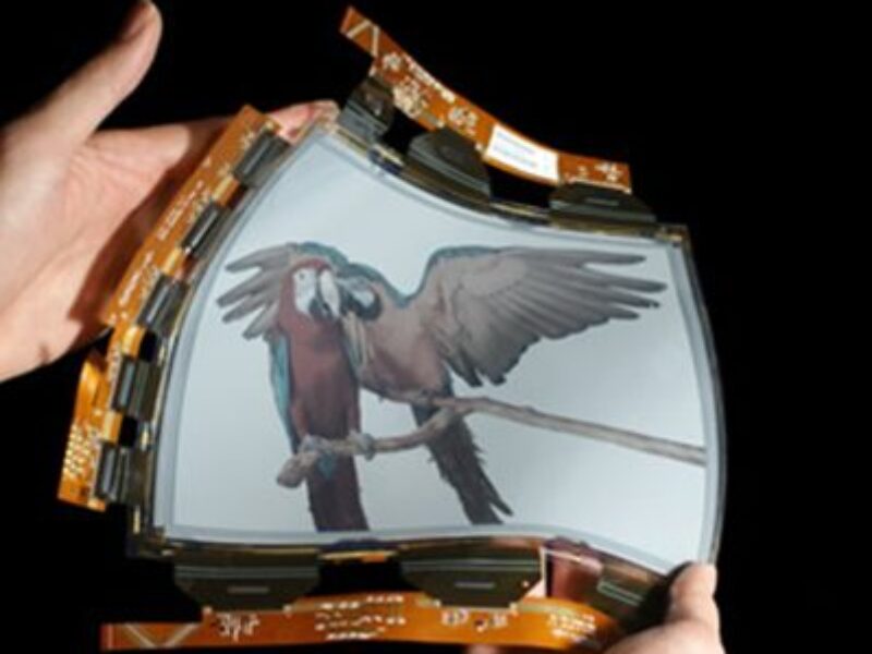 Plastic Logic demos flexible color moving display