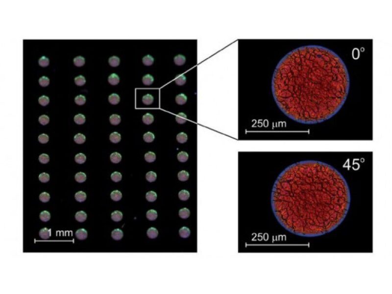 Organic lasers could be printed on any surface, say Cambridge researchers