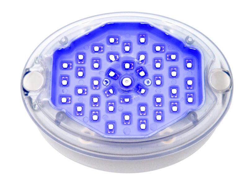 Blue LED light therapy device targets skin disease