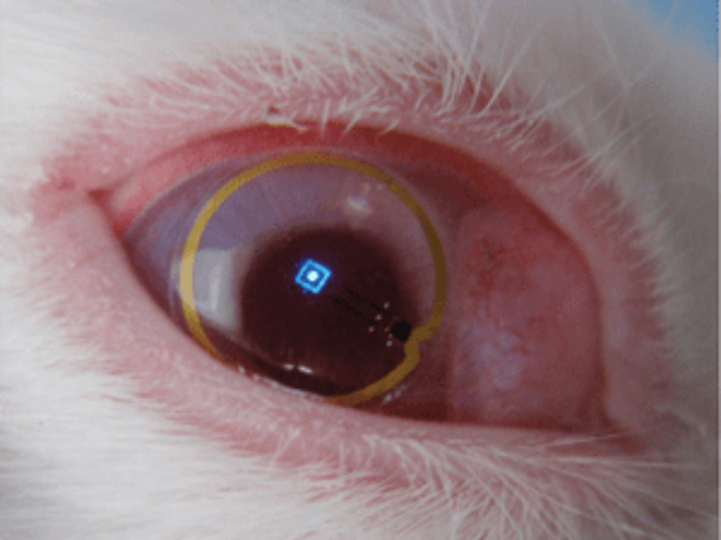 From bionic contact lenses to Li-Fi  communications