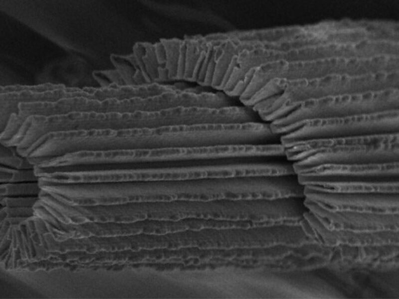 Transparent, elastic conductor targets flexible electronics, wearables