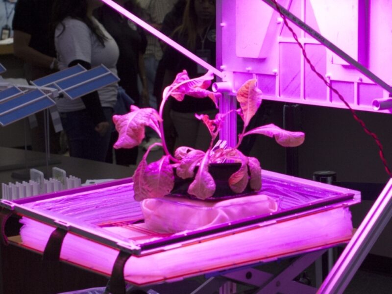 Plant-growing LEDs help feed NASA astronauts