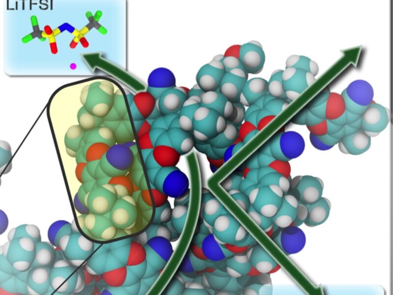 Could microporous polymers lenghten lithium-sulfur battery lifetimes?