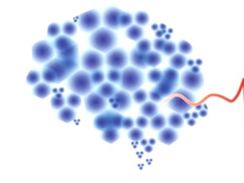 BrainChip provides details of neural network architecture