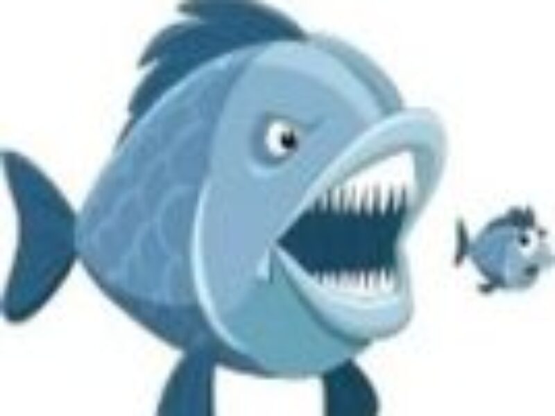 Mentor buys Berkeley DA after Cadence lawsuit