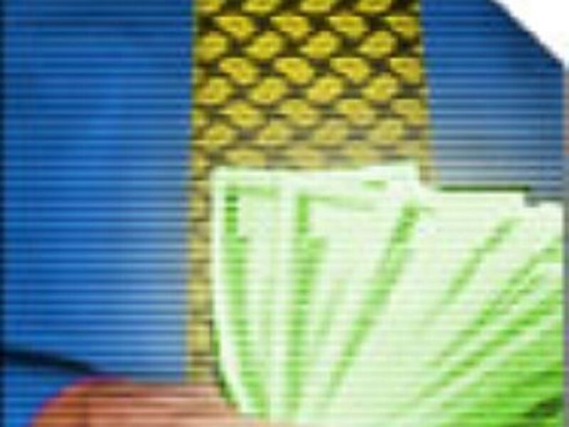 ASML sees record revenues despite wafer fab push outs