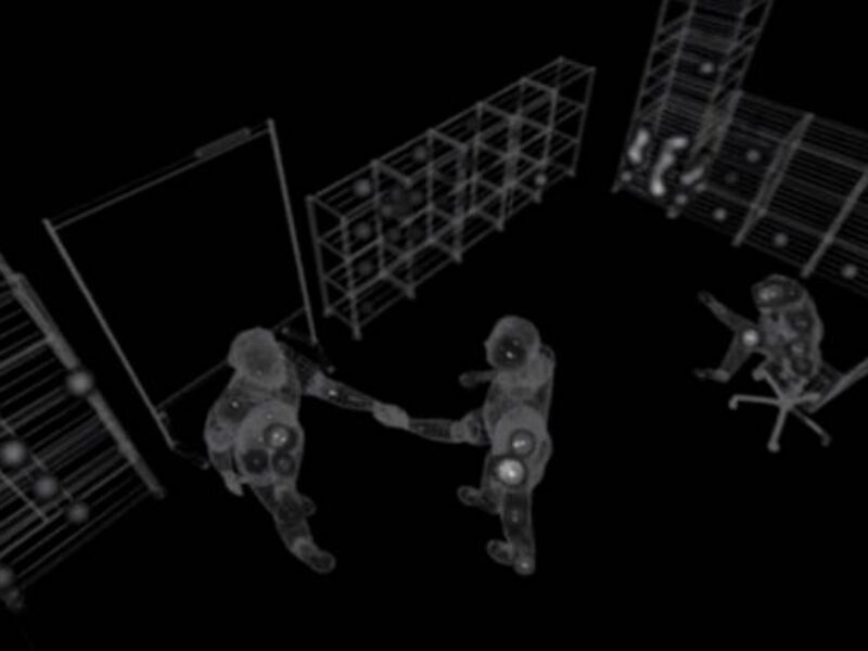 Bat-inspired ultrasound 3D mapping could equip drones