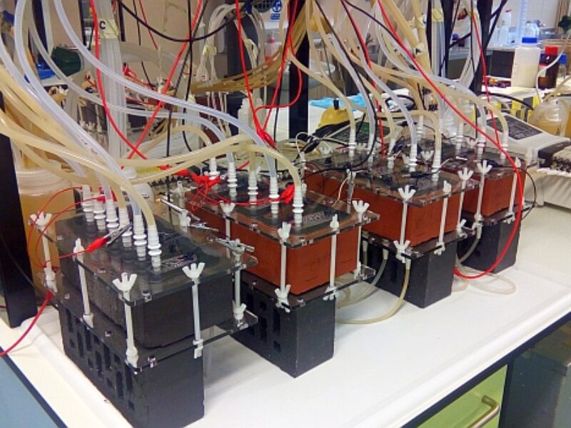 ‘Living bricks’ use microbial fuel cells to power buildings