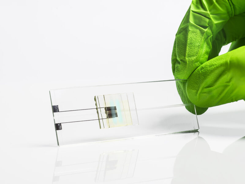 Printable fluorescent chip detects pathogens