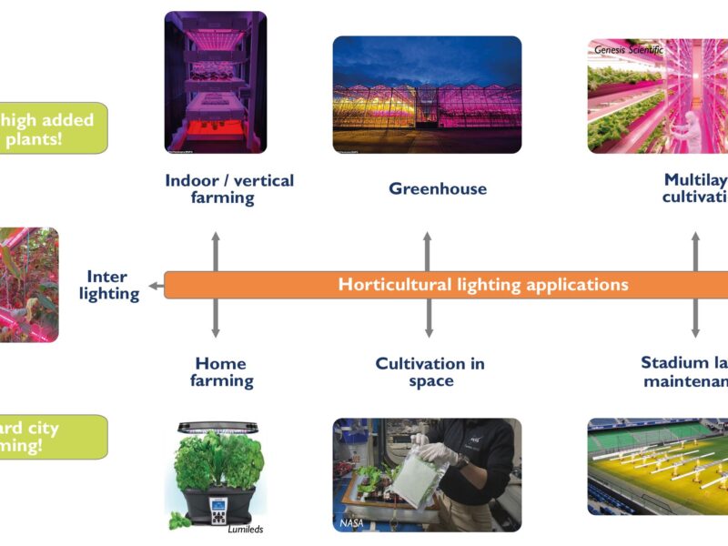 Indoor/vertical farms set to boom, LEDs leading the transition, says Yole