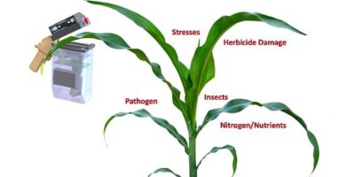 Handheld agtech sensor measures plant health, collects crop data