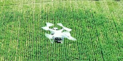 Sony smart agriculture solution supports day-to-day crop management