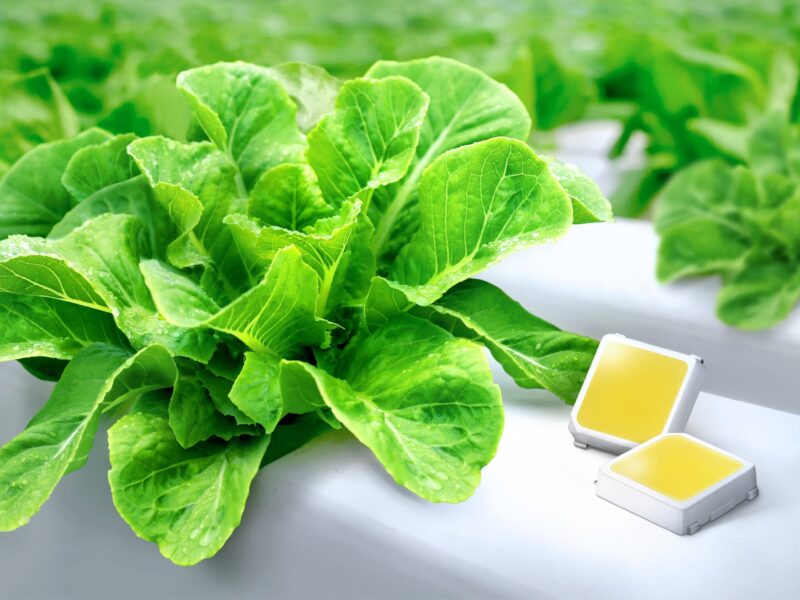 White LEDs deliver 3.10 μmol/J for horticulture