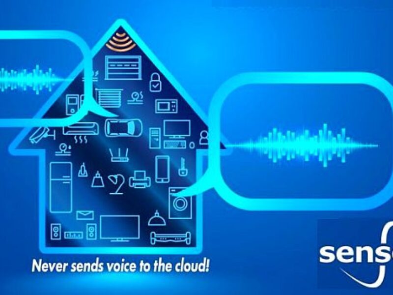 Voice interface brings natural language understanding to the edge