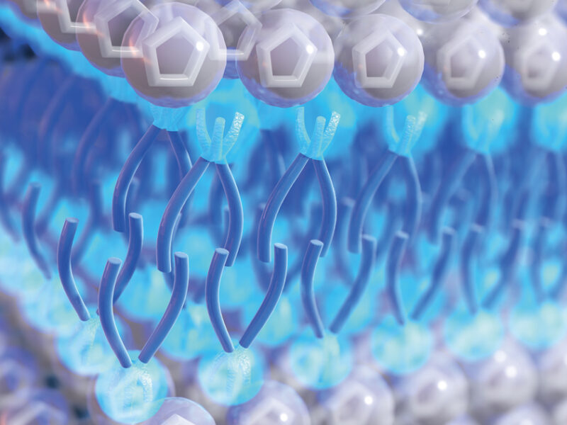 Ionic liquid electrolyte boosts supercapacitor safety