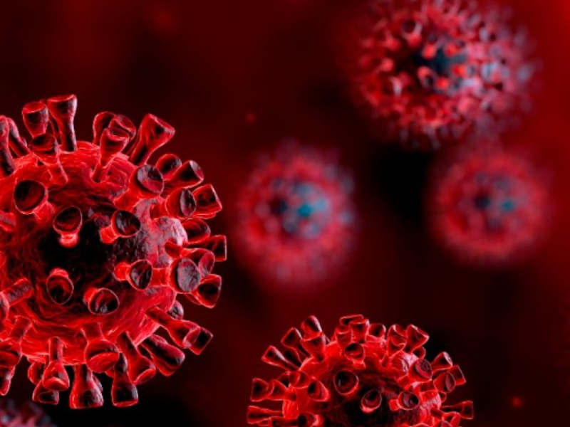 Backers needed to mass-produce smartphone-based Covid-19 test