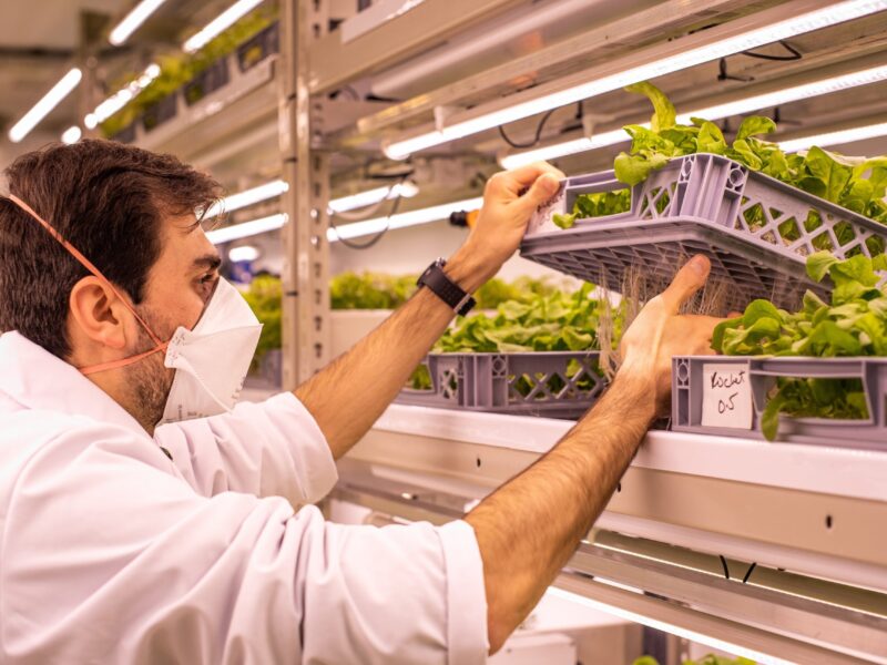 LettUs Grow teams for greenhouse technology trial