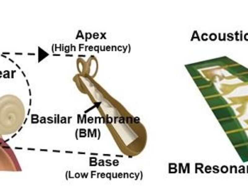 Self-powered acoustic sensor boosts AI recognition